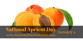 Illustration for article titled NATIONAL APRICOT DAY – NATIONAL STATIC ELECTRICITY DAY